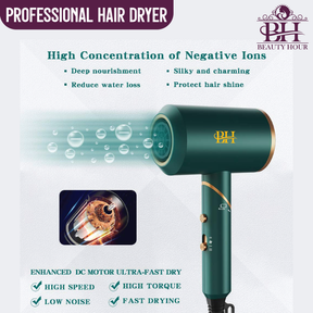 Professional Hair Dryer